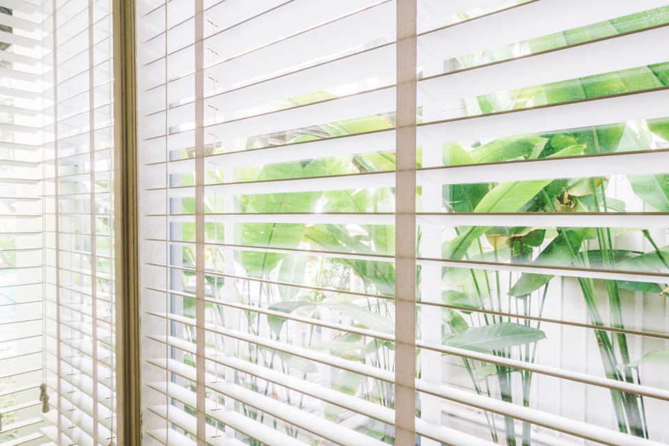 Curtains vs Plantation Shutters: Finding The Perfect Privacy Solution